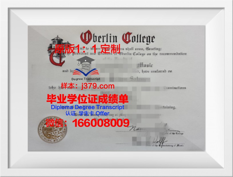 柏林自由大学毕业证Diploma文凭成绩单