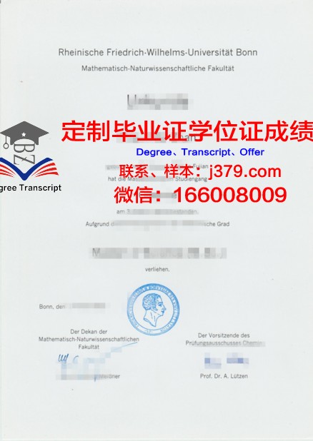 波恩大学毕业证成绩单查询(波恩大学vwl)