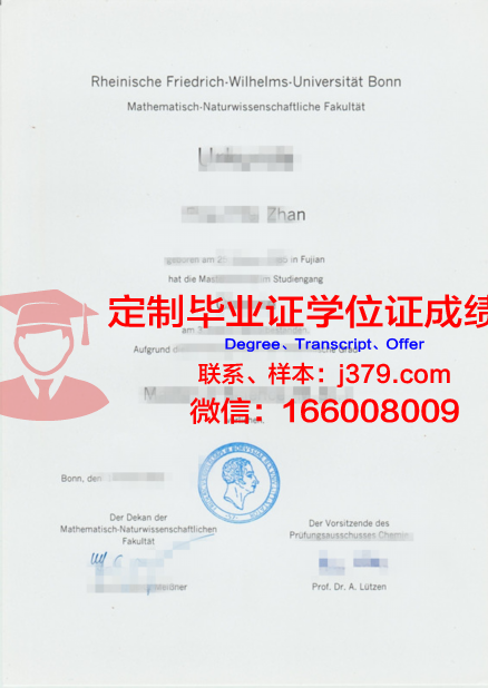 波恩大学毕业证成绩单查询(波恩大学vwl)
