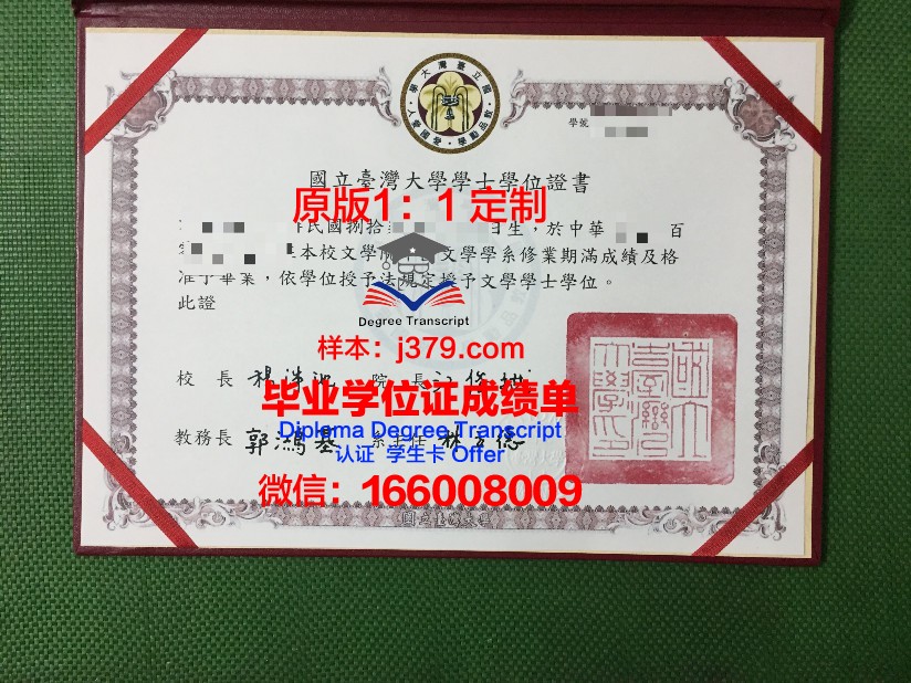 彼尔姆国立技术大学毕业证补办(彼尔姆国立大学怎么样)
