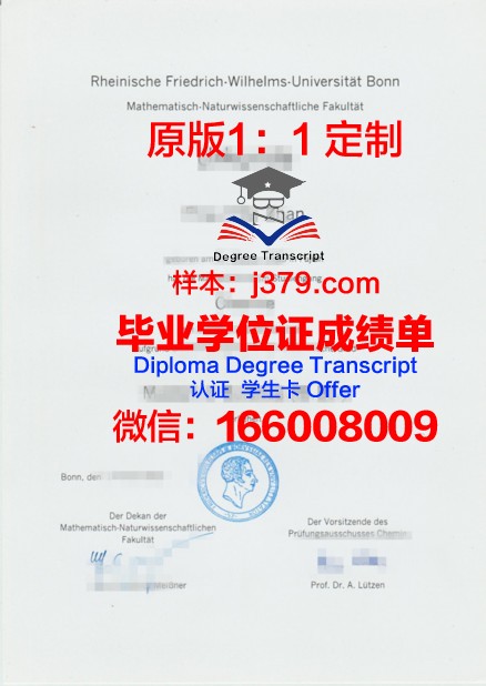 波恩大学毕业证书图片模板(波恩大学毕业证书图片模板高清)