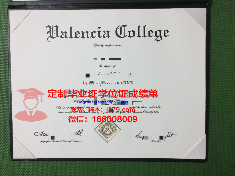 瓦伦西亚理工大学毕业证书(瓦伦西亚理工大学英语授课)