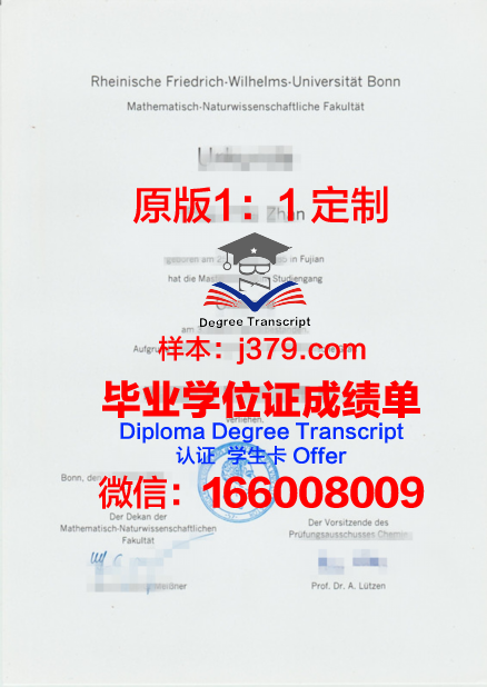 波恩大学毕业证是什么样呢(波恩大学知乎)