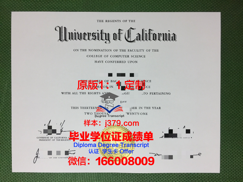 泰勒马克大学学院毕业证diploma