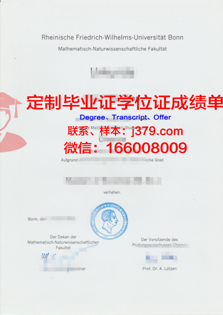 波恩大学毕业证书图片模板(波恩大学毕业证书图片模板高清)