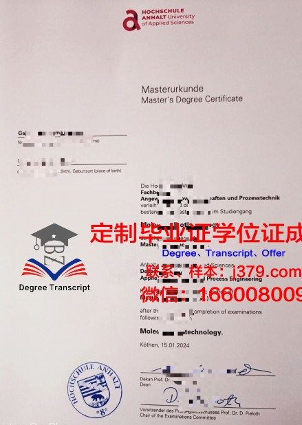 波恩-莱茵-锡格应用技术大学diploma证书(波恩-莱茵-齐格应用技术大学排名)