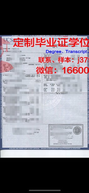 杜堡成绩单:揭示教育本质的启示录