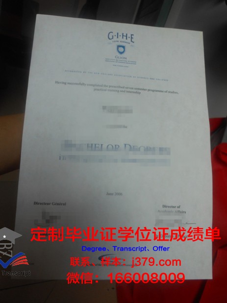 里昂国立高等音乐与舞蹈学院毕业证图片(里昂国立音乐学院排名)