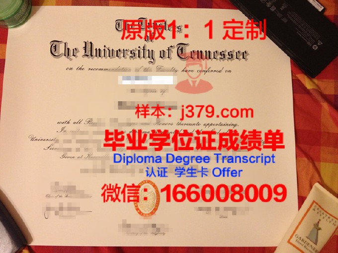 田纳西州立大学毕业证案例(田纳西州立大学世界排名)