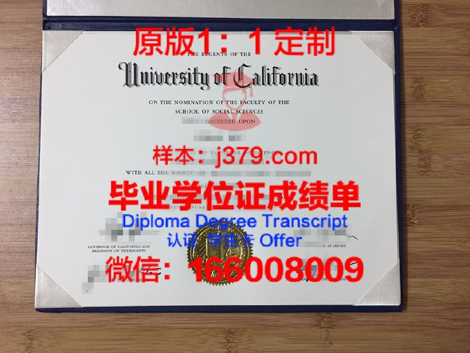 IVA德里贝亨商学院diploma证书(贝瑞德商学院)