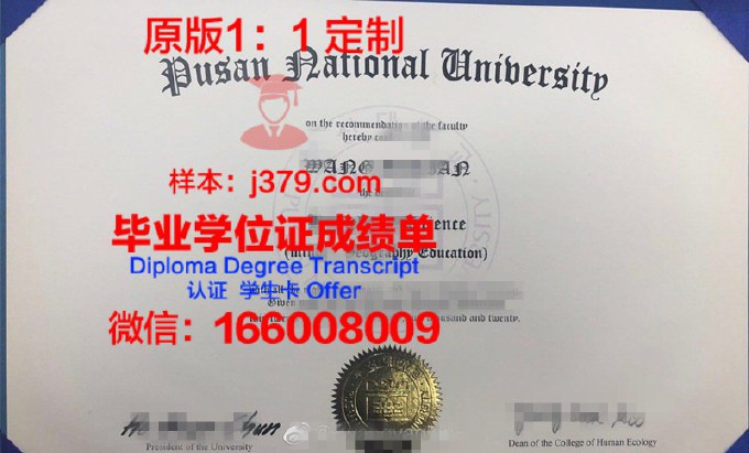 釜山科学技术大学diploma证书(釜山大学认可度)