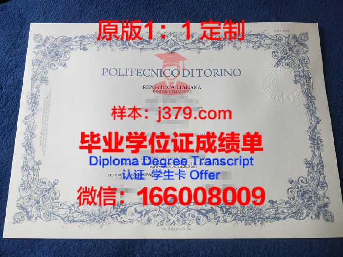 都灵大学diploma证书(都灵大学申请条件)