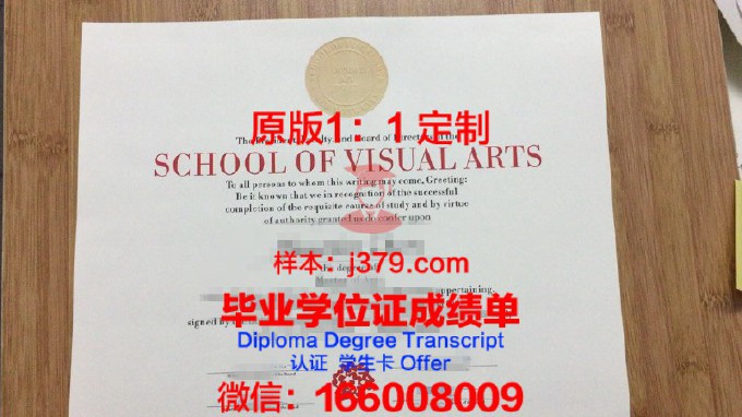视觉传播学院研究生毕业证书(视觉传媒研究生)