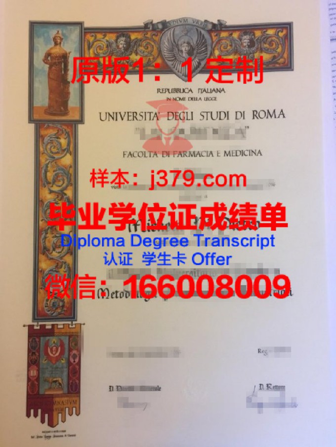 罗马第二大学毕业证书模板(罗马二大相当于中国层次大学)