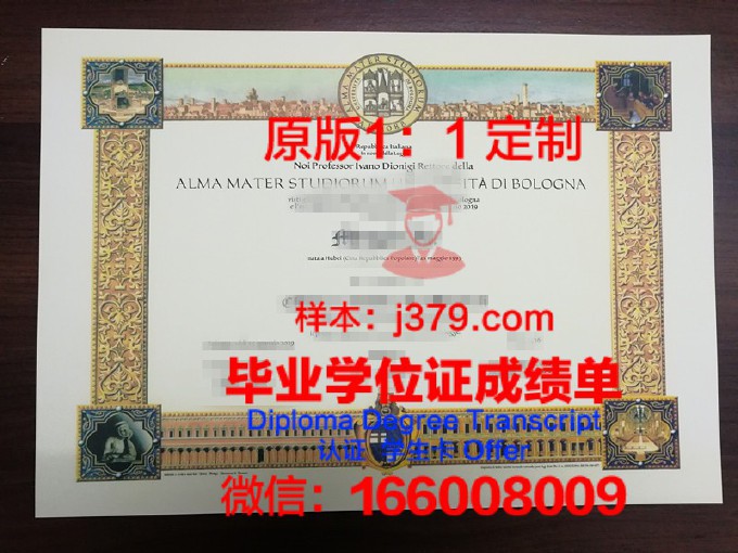 米尼亚大学毕业证样式(什么尼亚大学)