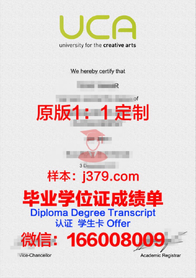 创意研究学院diploma证书(创意研究院logo)