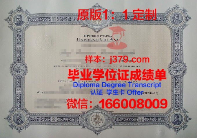 比萨大学毕业证书原件(大学毕证图片尺寸)