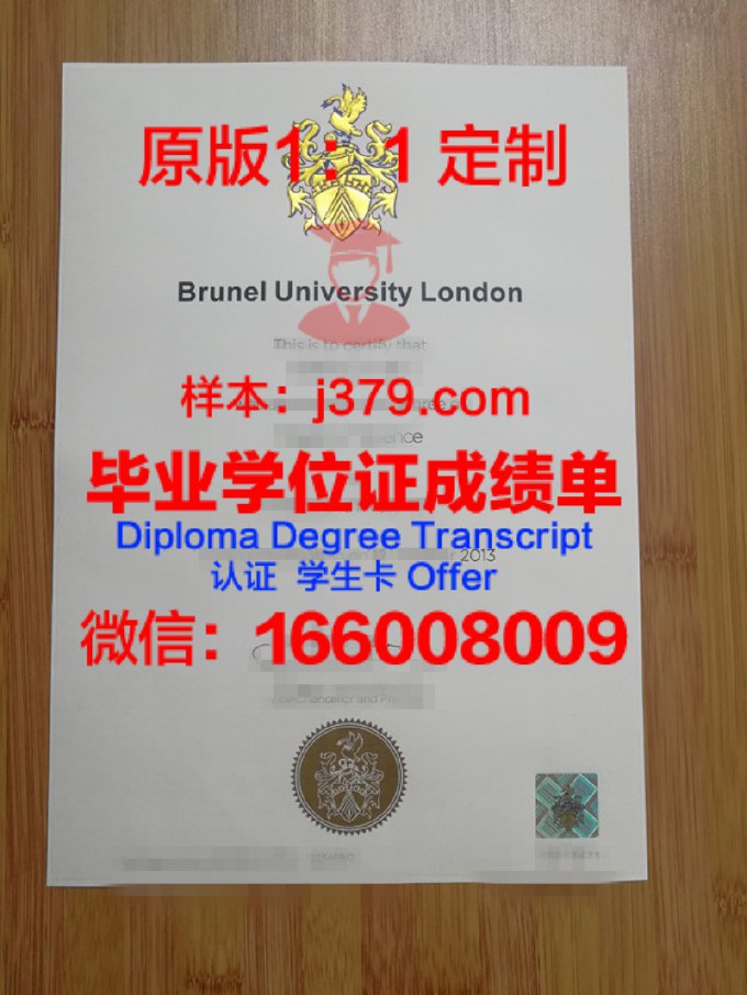 布鲁内尔大学毕业证书图片模板(布鲁内尔大学回国就业情况)