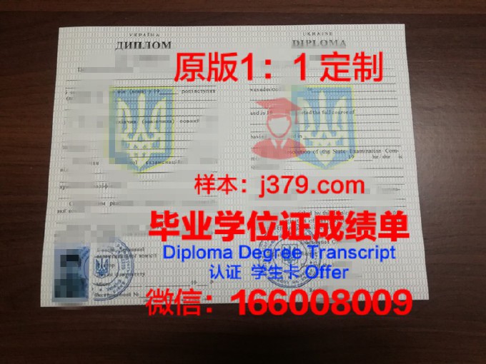 乌克兰国家科学院电焊研究所diploma证书(乌克兰焊工)